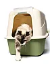 Re: Cat Urine | next thread &raquo;