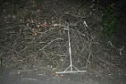Is there a "special" tool for moving dead brush 100 feet away?  |  Bummer that nobody brought this up until now. If that's the case, I perhaps...
