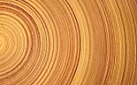 Stronger than steel, superwood | &laquo; previous thread