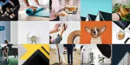 bark.com | &laquo; previous thread