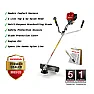Strimmer engine conundrum |   A volunteer organisation that I work with has three 4-stroke Honda...
