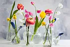 That additive to flower vase water | next thread &raquo;