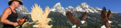 slowing tree stump decay... | &laquo; previous thread