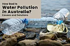How Bad Is Water Pollution in Australia? |  How Bad Is Water Pollution in Australia? August 15, 2022 As per a study, the...