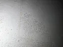 Painting old new plaster |  We have a wall which has evidently been replastered some time in the recent-ish...