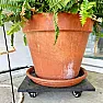 Building a rolling planter | next thread &raquo;