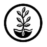 planting onion seeds for overwinter? |  Hi All,  I am going to try planting    ...