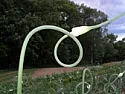 garlic scapes | &laquo; previous thread