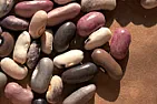 beans | next thread &raquo;