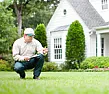 lawn care | &laquo; previous thread