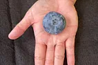 YUGE Blueberry | next thread &raquo;