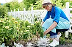 transplanting  and good web  site  |  Hi guys I ran across this web site and I get a news letter from them about...