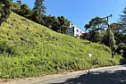 California landowners who cut 38 trees in Oakland hills hit with $915,000 fine |  After two previous attempts to decide how to deal with a couple who chopped down...