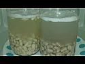 Re: Cooking Beans in the Microwave Oven | &laquo; previous thread