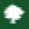 Real Tree wood | &laquo; previous thread