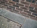 Mould at the base of external brickwork |  I have some mould growing on some external brickwork. Here're a coupleof...