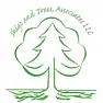 Peach tree  |  PEACH trees are a C tree with respect to improper pruning and death of branches....