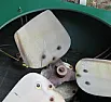 Possible to repair a cracked heat pump fan blade? |  Anything you patch it with is going to unbalance the fan slightly.But, if...