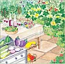 San Remo Tomtao Seed Source? | &laquo; previous thread