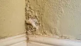 electro osmotic damp proofing - does it work? |  I completely agree, but was 40 years ago and wasn't my purchasingdecision.  ...