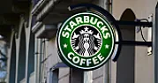 Starbucks ceiling insulation batts |  - dchou4u -- Nehmo -Are you sure insulation batts are what you are seeing?...