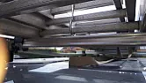 Nearly lost another set of ladders today  | next thread &raquo;