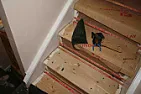 Stair tread replacement |  I removed the carpet from our stairs and there are two treads that are split. I...