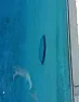 What's a good way to tell if a pool drain is actually working?  |  Just for info. If you touch a main drain or swim around it, you won’t feel the...