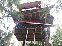 tree house question  | &laquo; previous thread