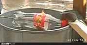 Redneck Mouse trap  |  It is very poisonous to critters, especially pets because it has a sweet  taste....
