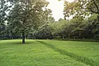 Applying Calcitic Lime and/or Dolomitic Lime to the lawn and garden  |  And this is yet more useful info about liming the lawn that I'll need to...