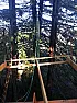 Re: We started the 100-foot long 10-foot wide deck high up in the California redwoods  |  Some validity to the above but... While it is true that the end that is resting...