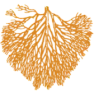 Pennington Smart seed  | &laquo; previous thread