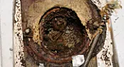 Dental floss toilet beast (must see) |  My basement toilet had always been a slow flusher, so much so that itwas seldom...