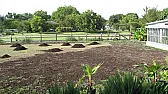 Tilling the yard advice please  |  All I know is the TV new in the Austin, TX area said herbicide runoff like...