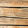 Wood worm  |  If it's not riddled with flight holes. Buy some woodworm killer (can't ...