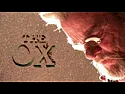 The Ox - Portrait of a Master Woodworker  |  The OX is a well executed and inspiring portrait of master woodworker Eric...