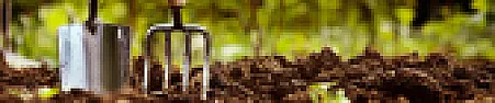 Extreme Moss! | next thread &raquo;