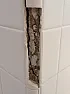 bathroom shower stall tile grout repair  |  Dchou4u: Unfortunately, what you're describing is the kind of problems...