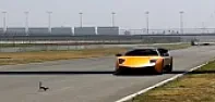 OT- Squirrel dodges a speeding Lamborghini | next thread &raquo;