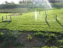 Footings for Shed |  Hmmm, it seems that you forgot to factor in the cost of the pressuretreated...