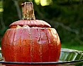 a few squash pics  |   I planted buttercups this year and didn't think they yielded anything....