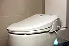 Korean bidet toilet  | next thread &raquo;