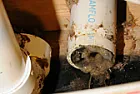 Drain plaque |  My plumbing woes started the other day when I heard a dripping soundin the...