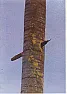desiging for a Haiti  scale earthquake |      snipped-for-privacy@v7g2000vbd.googlegroups.com:In Florida all the...