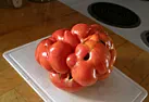 The first of many  |  ...   oh, ok, now i get it, when we put up tomato chunks there is usually enough...