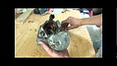 Auto parts from eBay   | &laquo; previous thread
