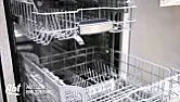 Bosch dishwasher  | next thread &raquo;