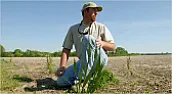 spot weed killer? |  I would like to zap weeds growing in the lawn and garden without harming the...