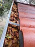 Cleaning the gutters before the storm (why do I always wait 'till the end)  |  This year I find out that my Mom has a thing about gutters, and I've been on...